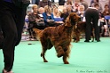 Crufts2011 897